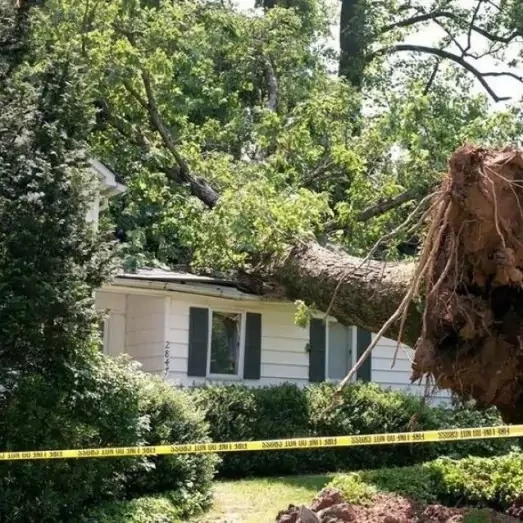 Storm & Wind Damage Repair Services in North Tampa, FL